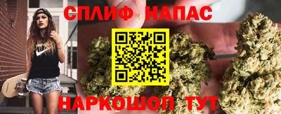 сатива Азнакаево