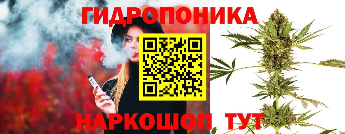 Гашиш Александров