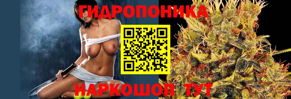 МАРИХУАНА сатива  Вход с VPN  МАРИХУАНА THC 21%  Бошки Шишки MAZAR  Канабис ГИДРОПОН  Александров 